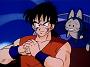 Dragonball Z (4)